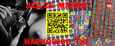 сатива Ставрополь