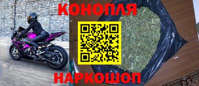сатива Ставрополь