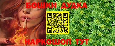 сатива Ставрополь