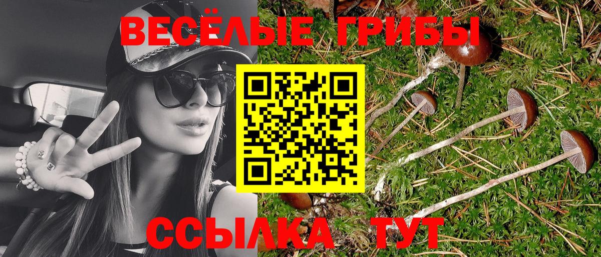 Ноябрьск  Псилоцибиновые грибы Magic Shrooms  Вход с VPN  Галлюциногенные грибы ЛСД 